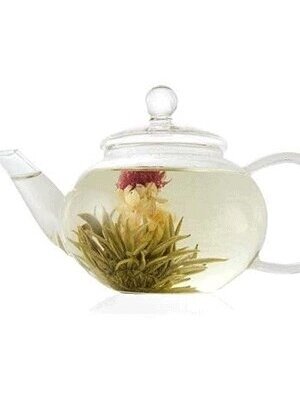 Žalioji arbata HAZO - Blooming Tea. Green tea. 100g  (metal) 1